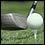 Alto Golf Course Golf Transfers